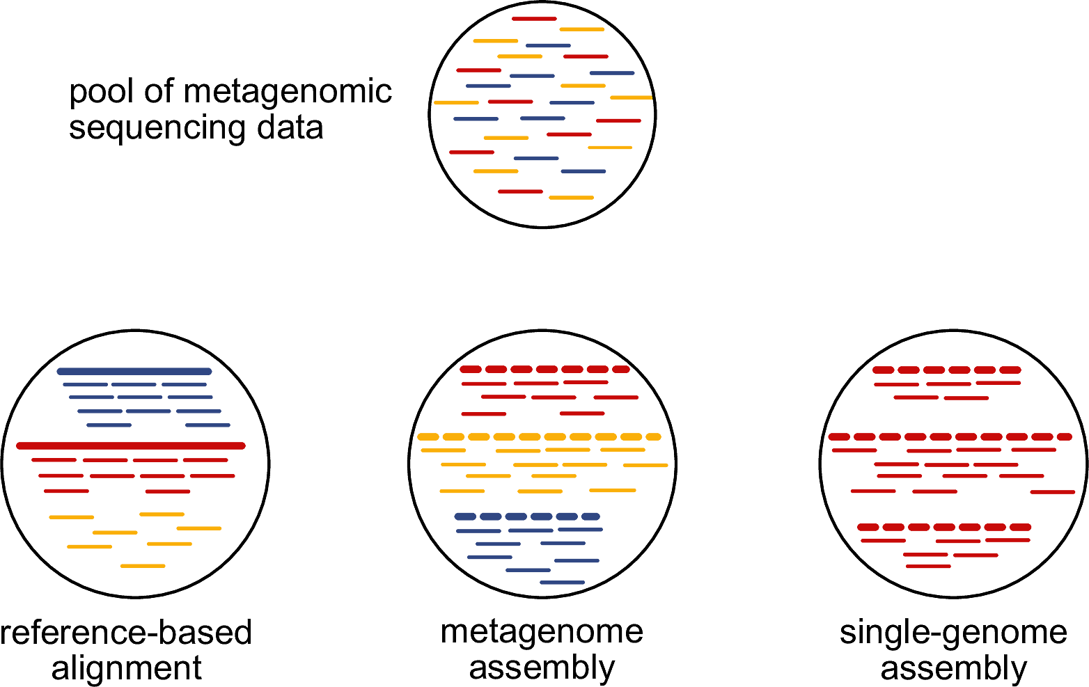 11 De Novo Genome Assembly Introduction To Ancient Metagenomics